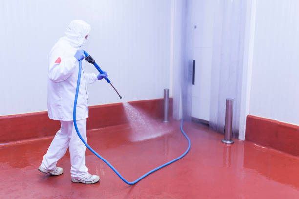 Best Paint Preparation  in Galatia, IL