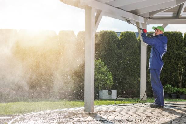 Best Sidewalk and Walkway Cleaning  in Galatia, IL