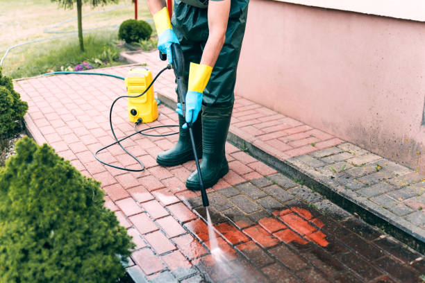 Best Building Exterior Washing  in Galatia, IL